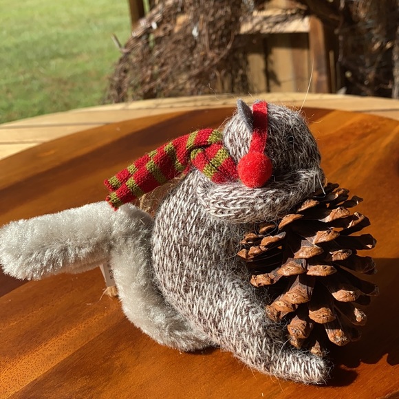 Pottery Barn Knitted Holiday Squirrel Holding a Real Pinecone Ornament🐿 - Picture 5 of 11